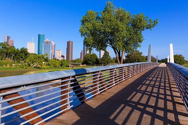 832 Cohn Street, Houston, TX 77007