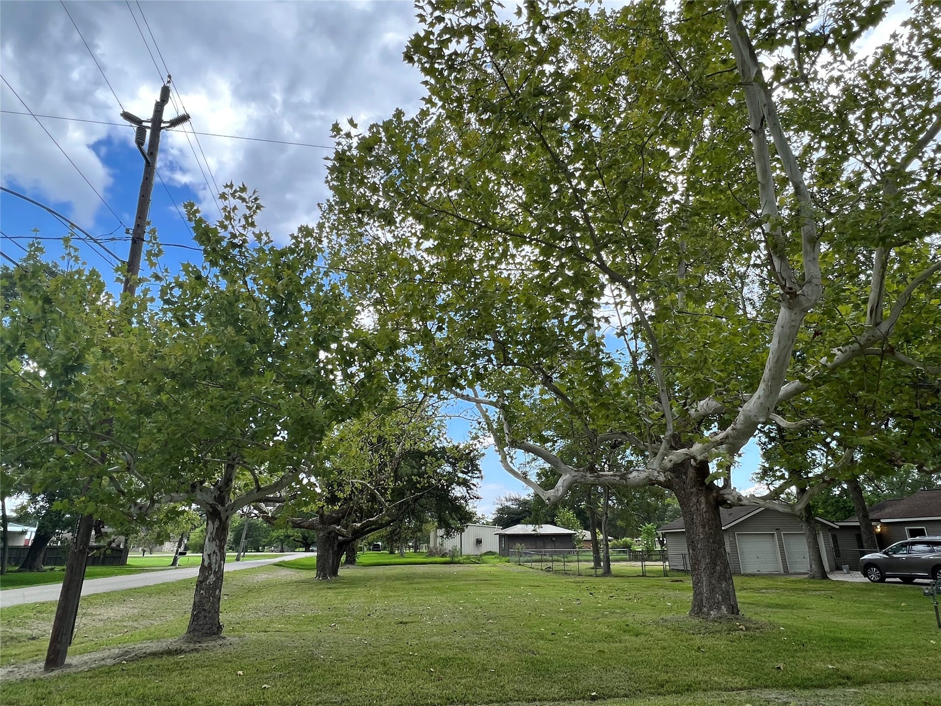 14414 2nd Street Street, Santa Fe, TX 77517 Gorgeous trees line this property and lots of mature producing Pecan trees as well!