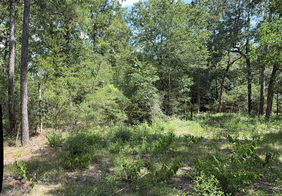 Property photo for 24805 Nottingham Circle, Hockley, TX
