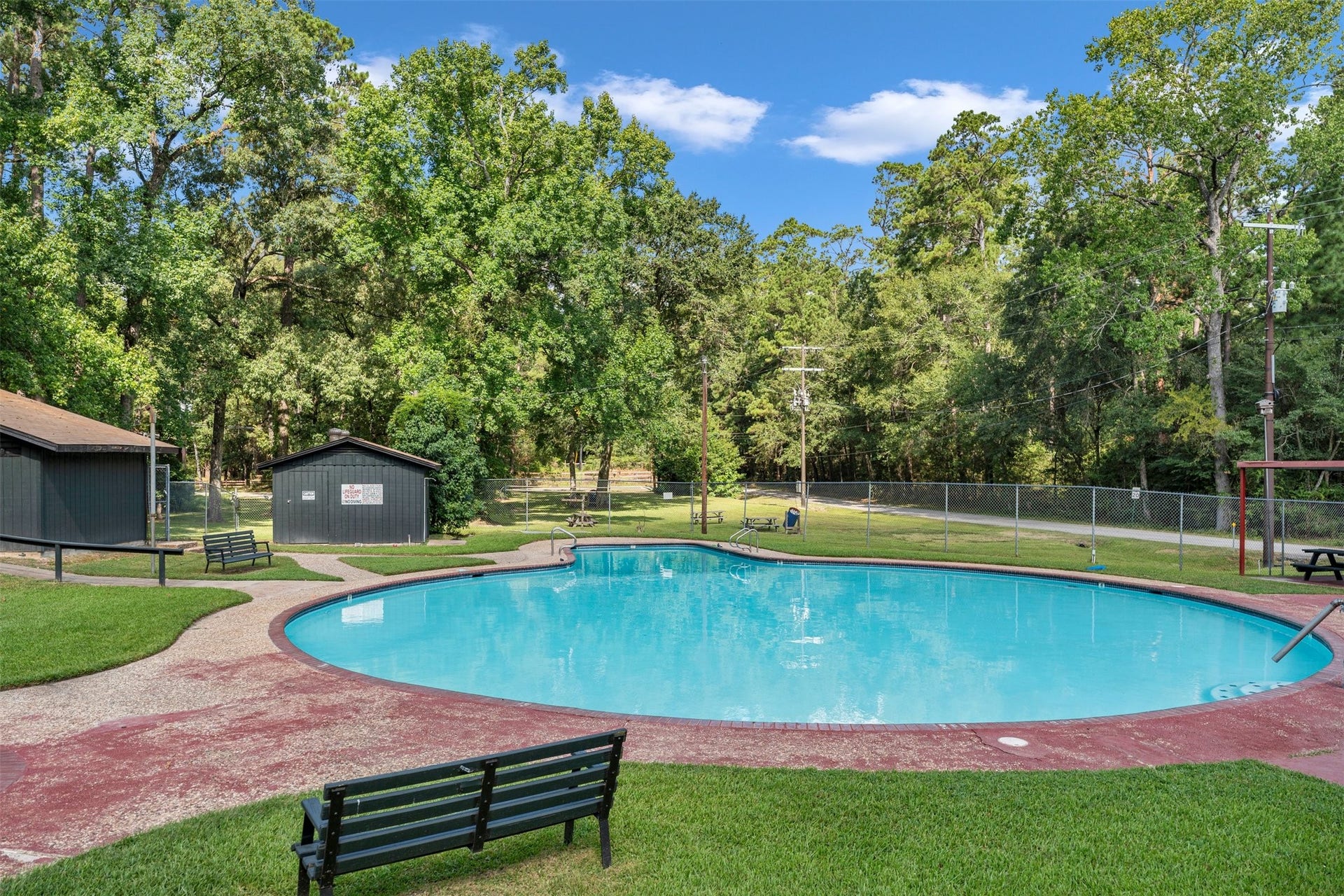 15693 Aspen Dr Drive, Montgomery, TX 77356 Subdivision Pool