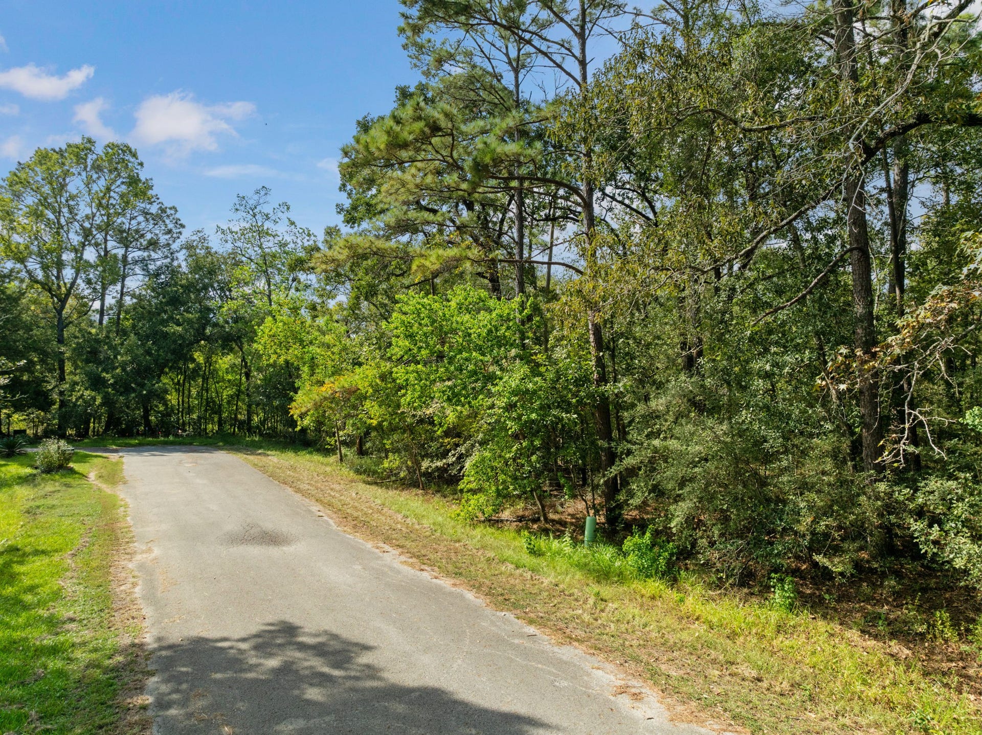 15687 N Park Lane, Porter, TX 77365