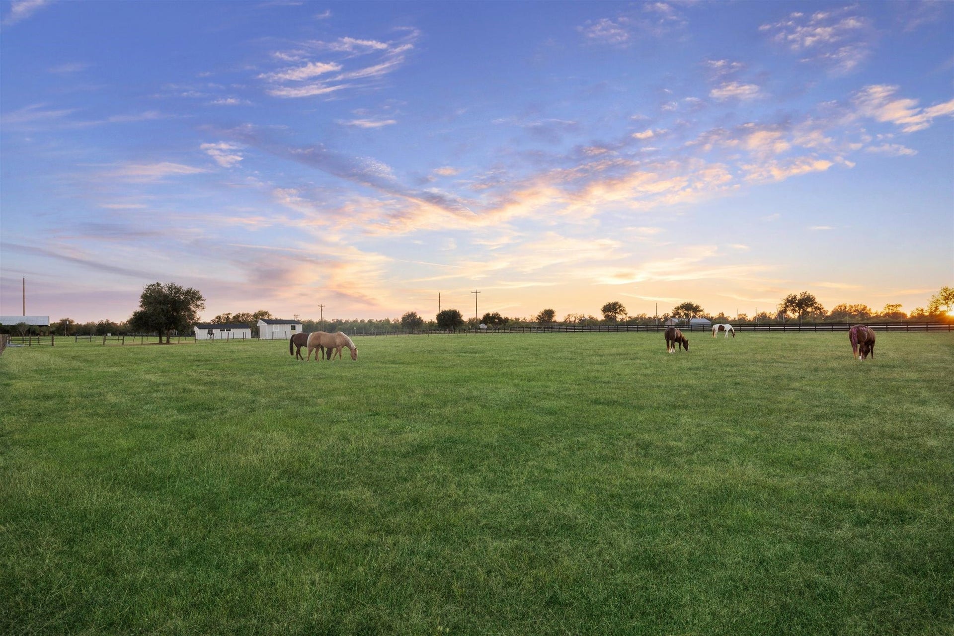 Grazing peacefully beneath a glowing evening sky, the horses are at home in this wide, open pasture. Fenced and level, the field is ideal for livestock or equestrian use. This tranquil setting also supports the property's wildlife exemption, blending functional land use with the natural beauty and serenity of everyday life on the ranch.