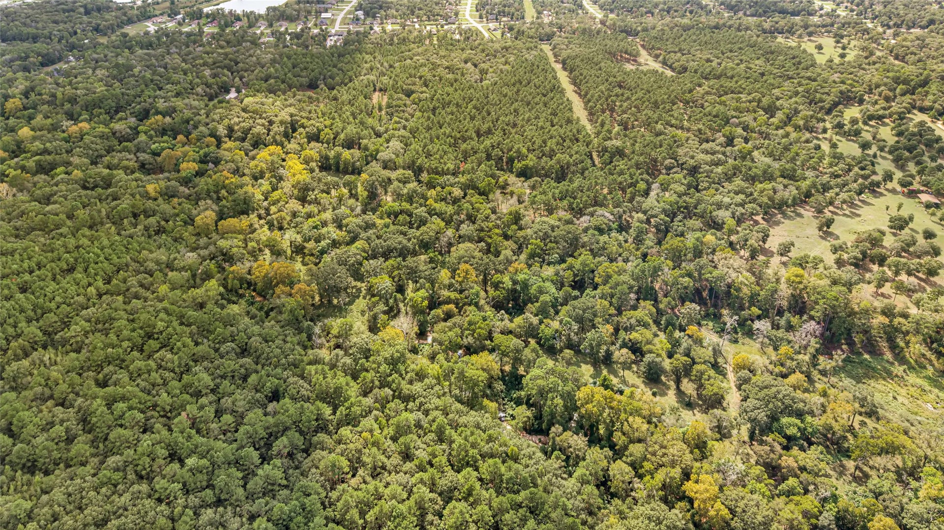 TBD Willis Waukegan Road, Conroe, TX 77303 TBD Willis Waukegan Road, Conroe, TX 77303