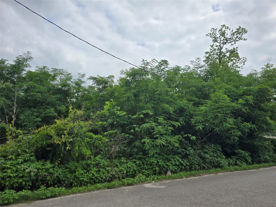 Property photo for 625 Avenue F, Conroe, TX