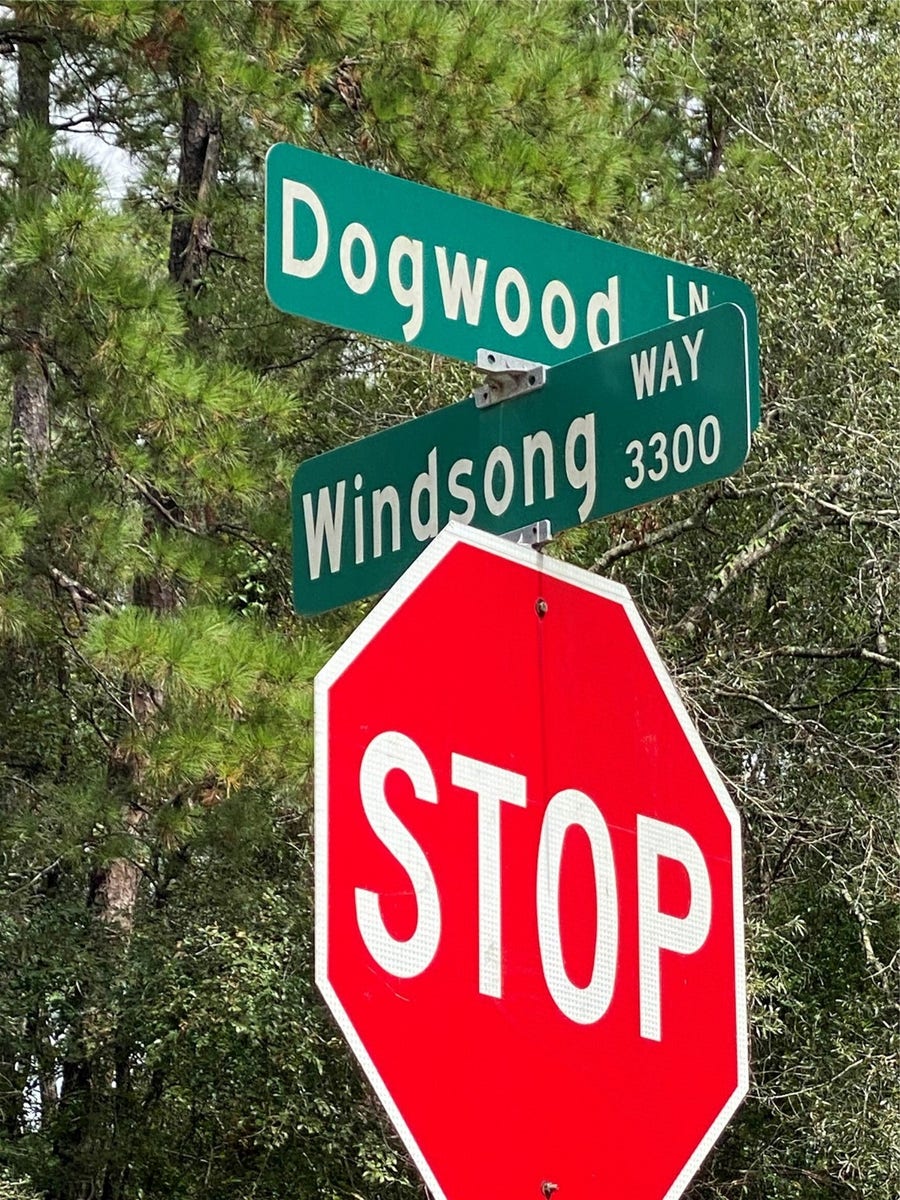 Property photo for 47 Dogwood Lane, Porter, TX