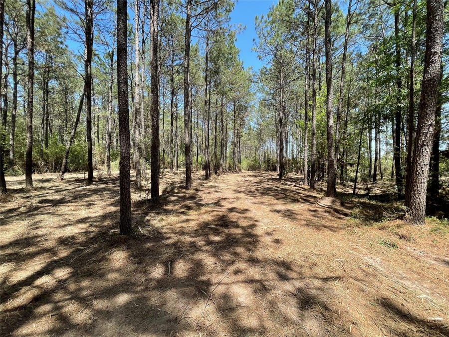 Property photo for 15899 Wood Grove Way, Willis, TX