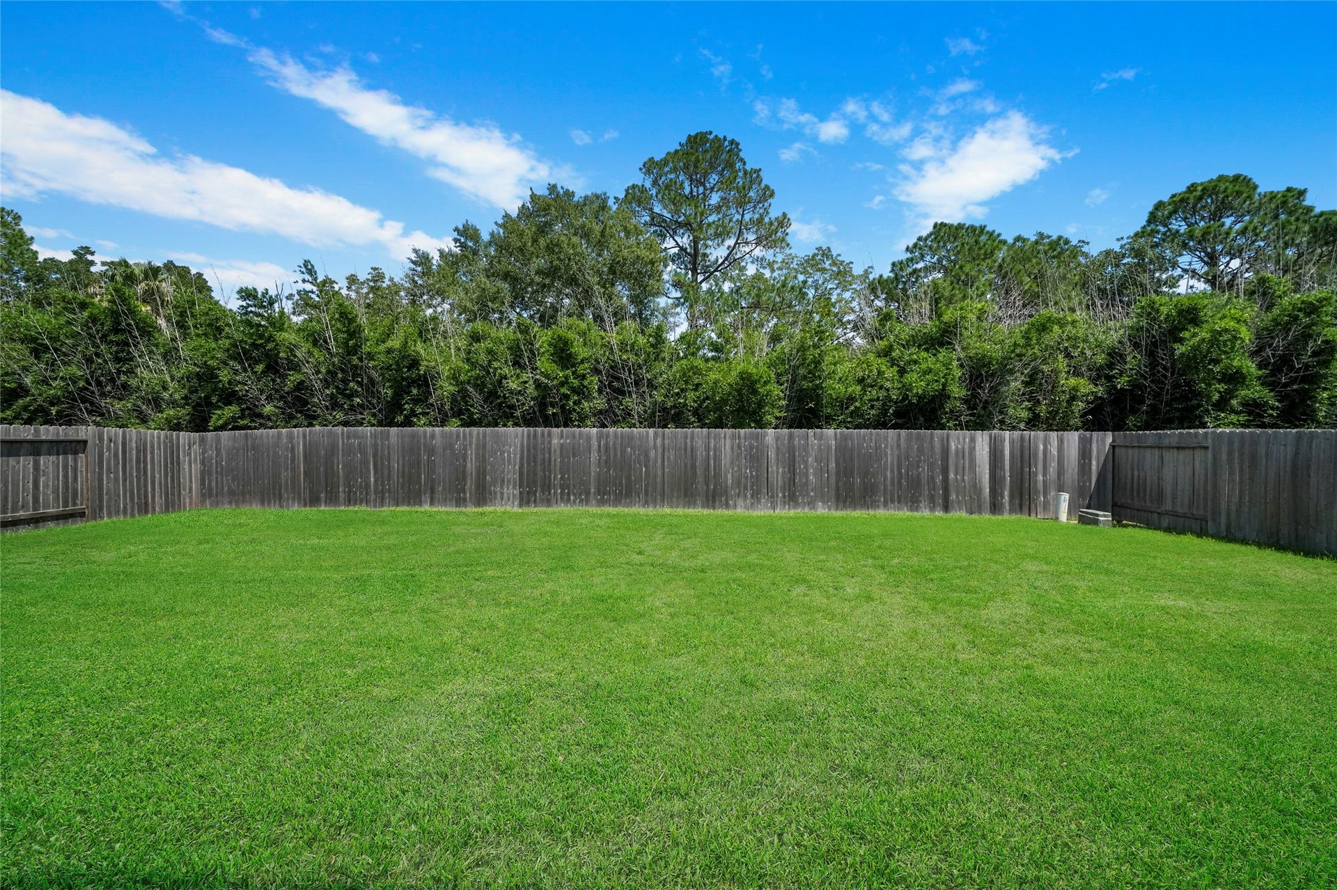 3227 Fairhaven Lane, Rosenberg, TX 77471 plenty of space