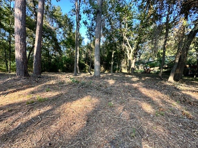 Property photo for 00 Kickapoo Trail, Willis, TX