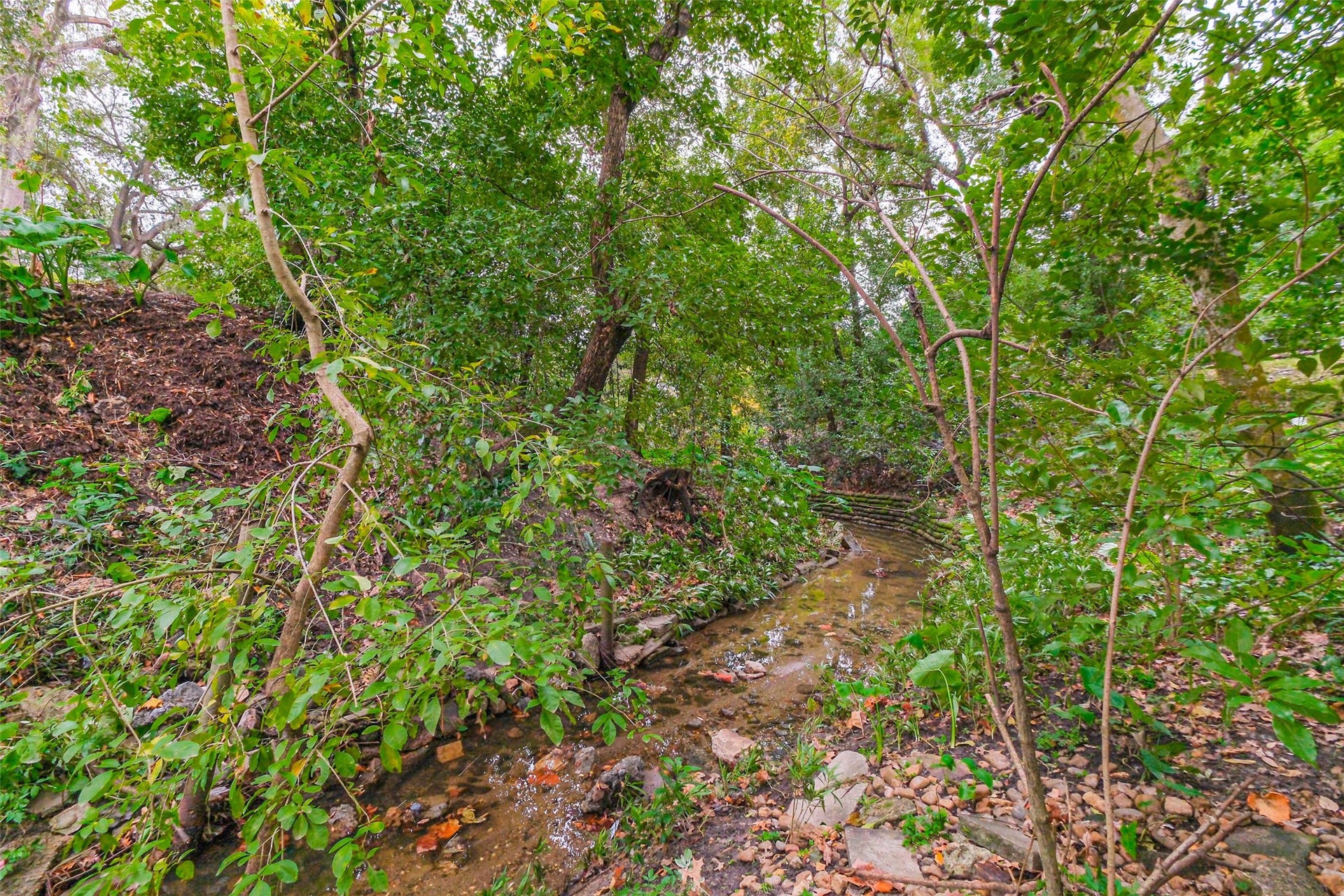 The ravine offers a unique opportunity to enjoy nature in the heart of the city.
