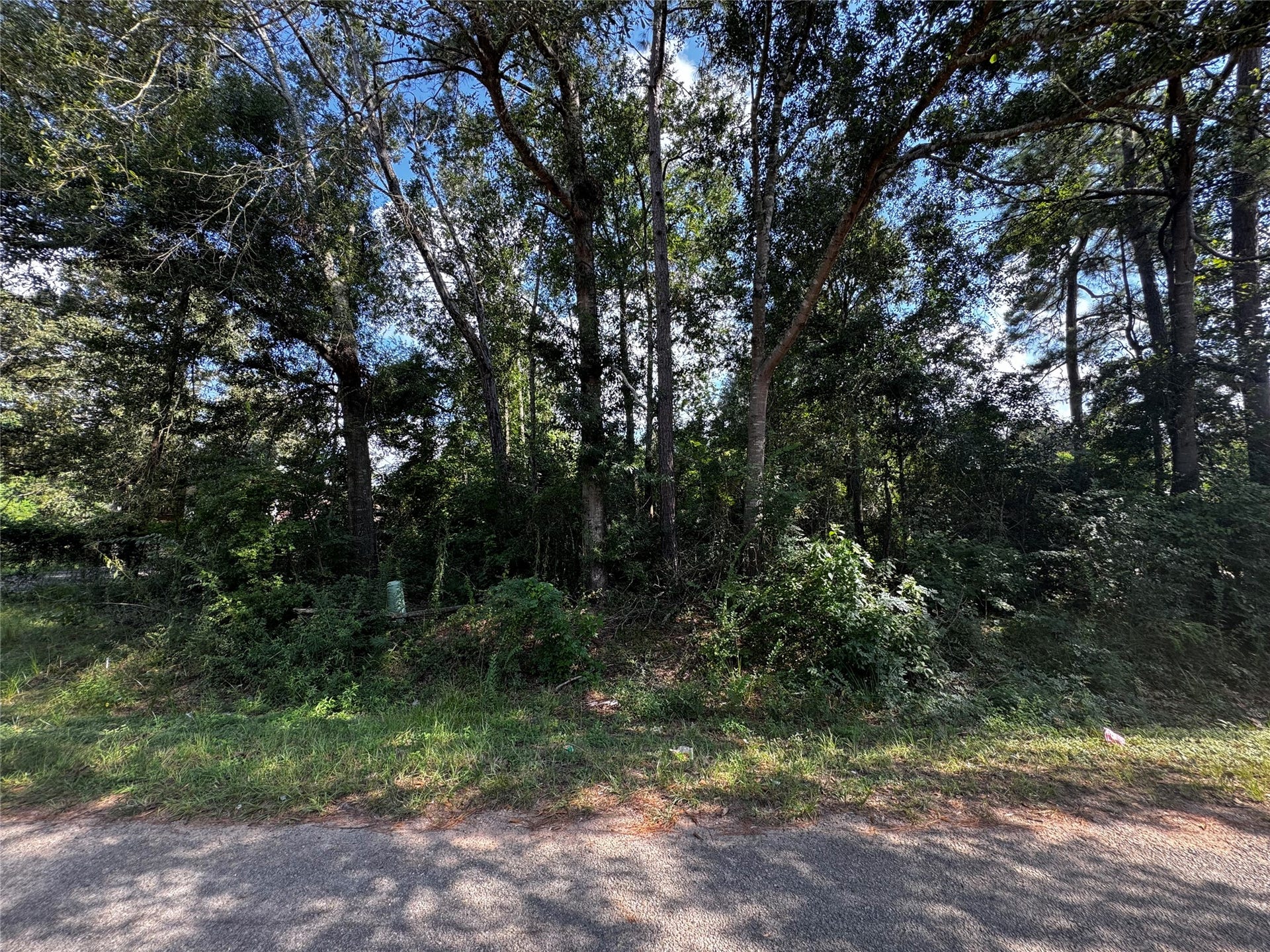 17625 SPANISH OAK, Conroe, TX 77306 17625 SPANISH OAK, Conroe, TX 77306