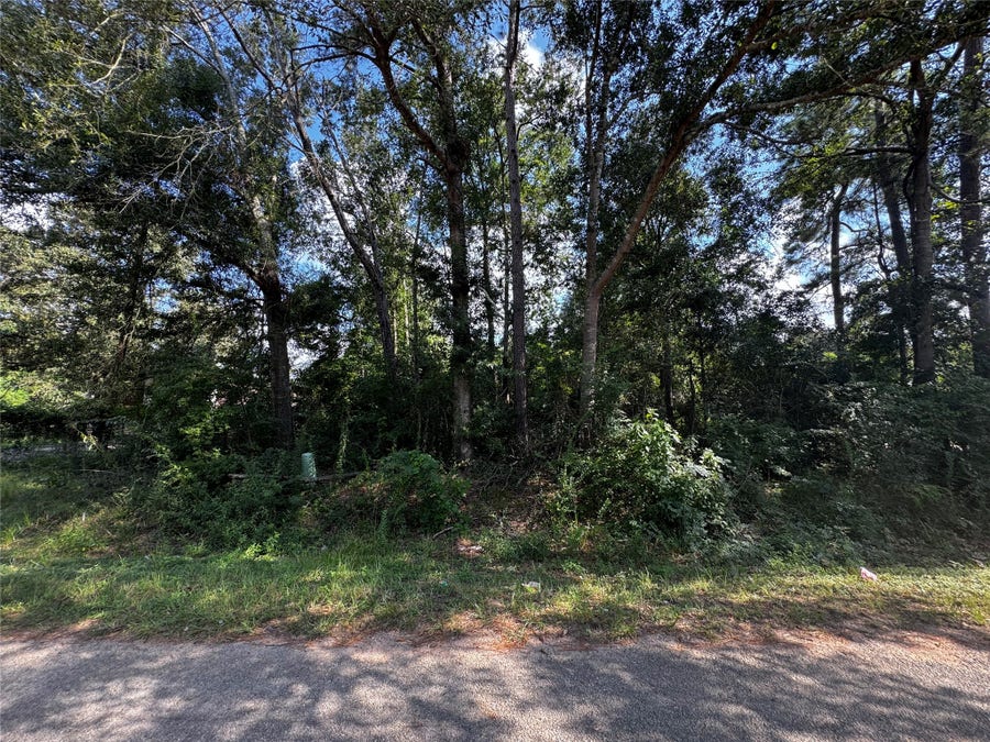 Property photo for 17625 SPANISH OAK, Conroe, TX
