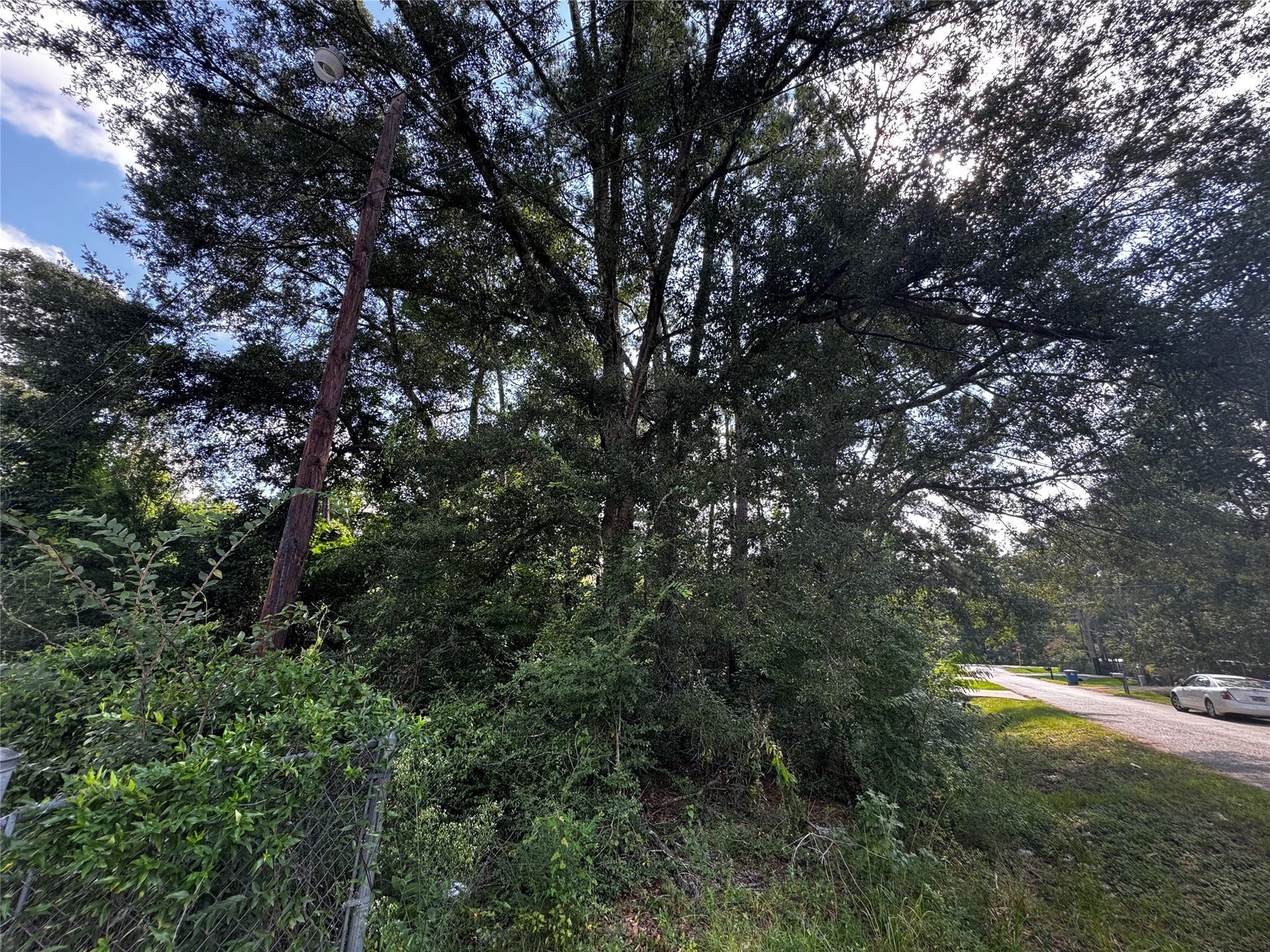 17625 SPANISH OAK, Conroe, TX 77306 17625 SPANISH OAK, Conroe, TX 77306