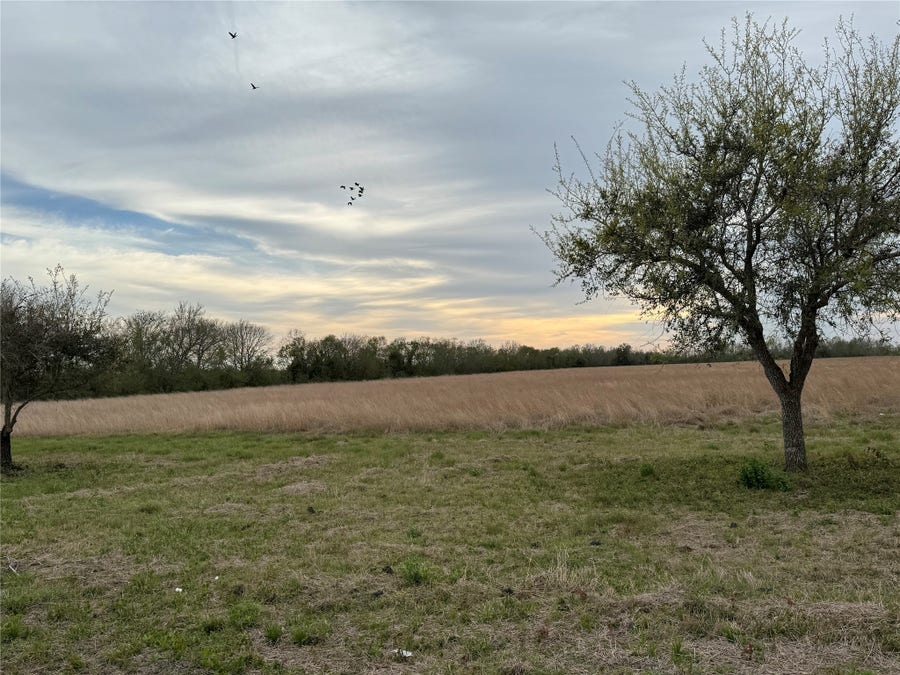 Property photo for 03 County Road 46, Danbury, TX