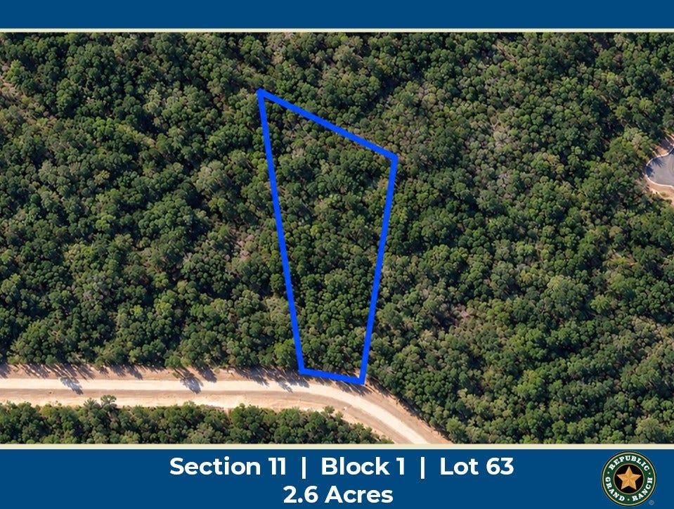 15437 Woodlife Road, Willis, TX 77378 15437 Woodlife Road, Willis, TX 77378