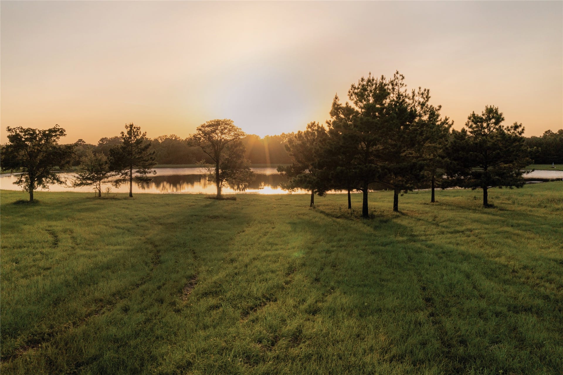 15437 Woodlife Road, Willis, TX 77378 15437 Woodlife Road, Willis, TX 77378