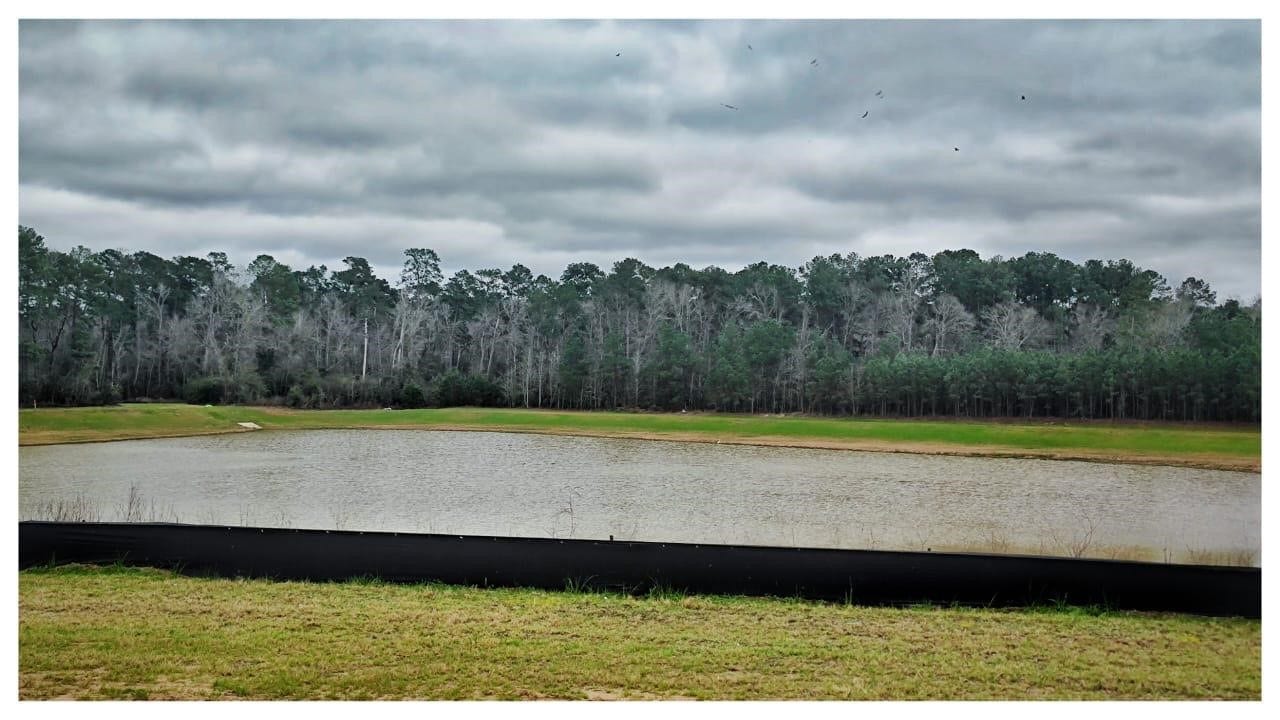 115 Resilient Gale, Magnolia, TX 77354