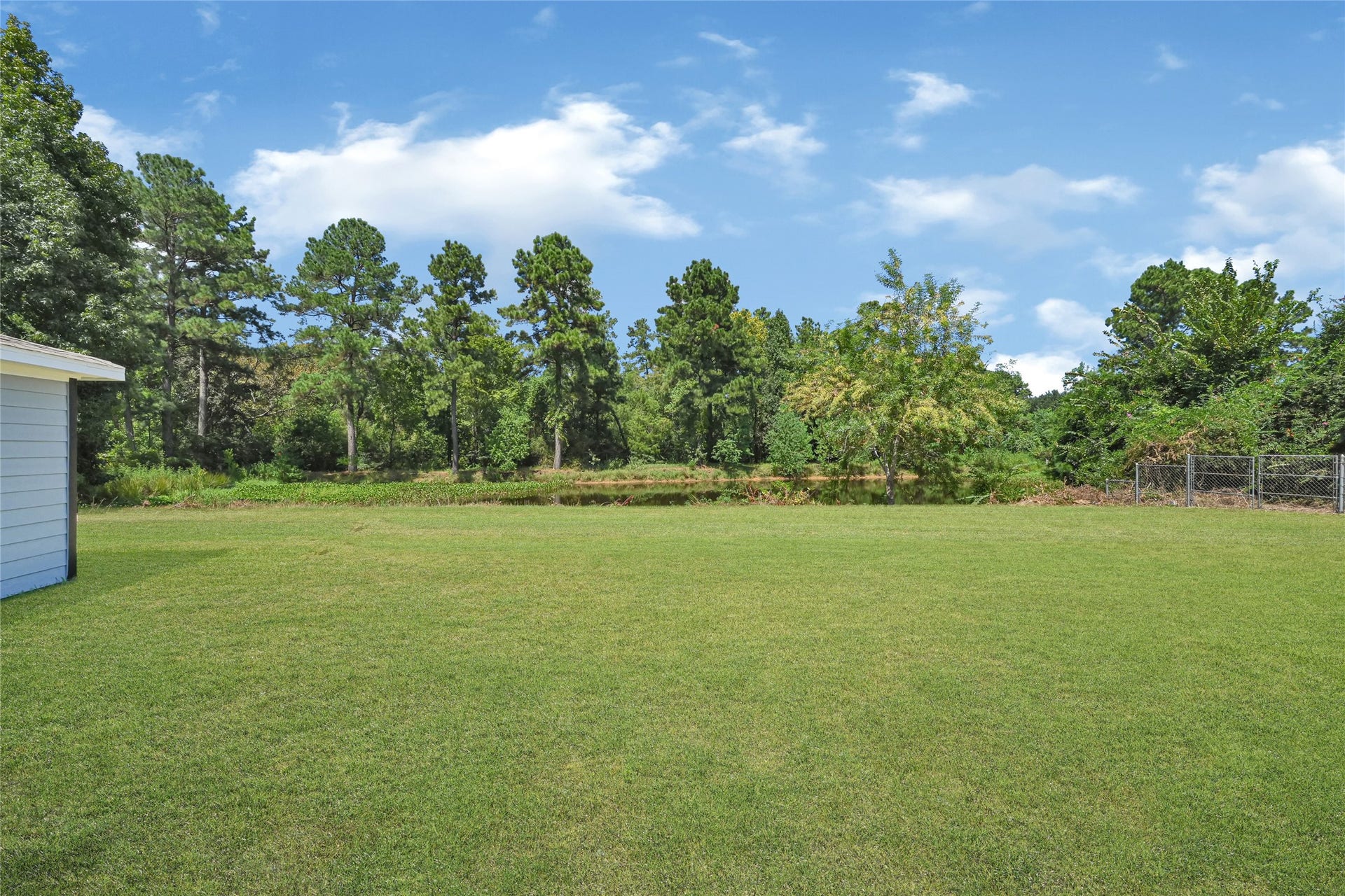 view of the backyard with the pond