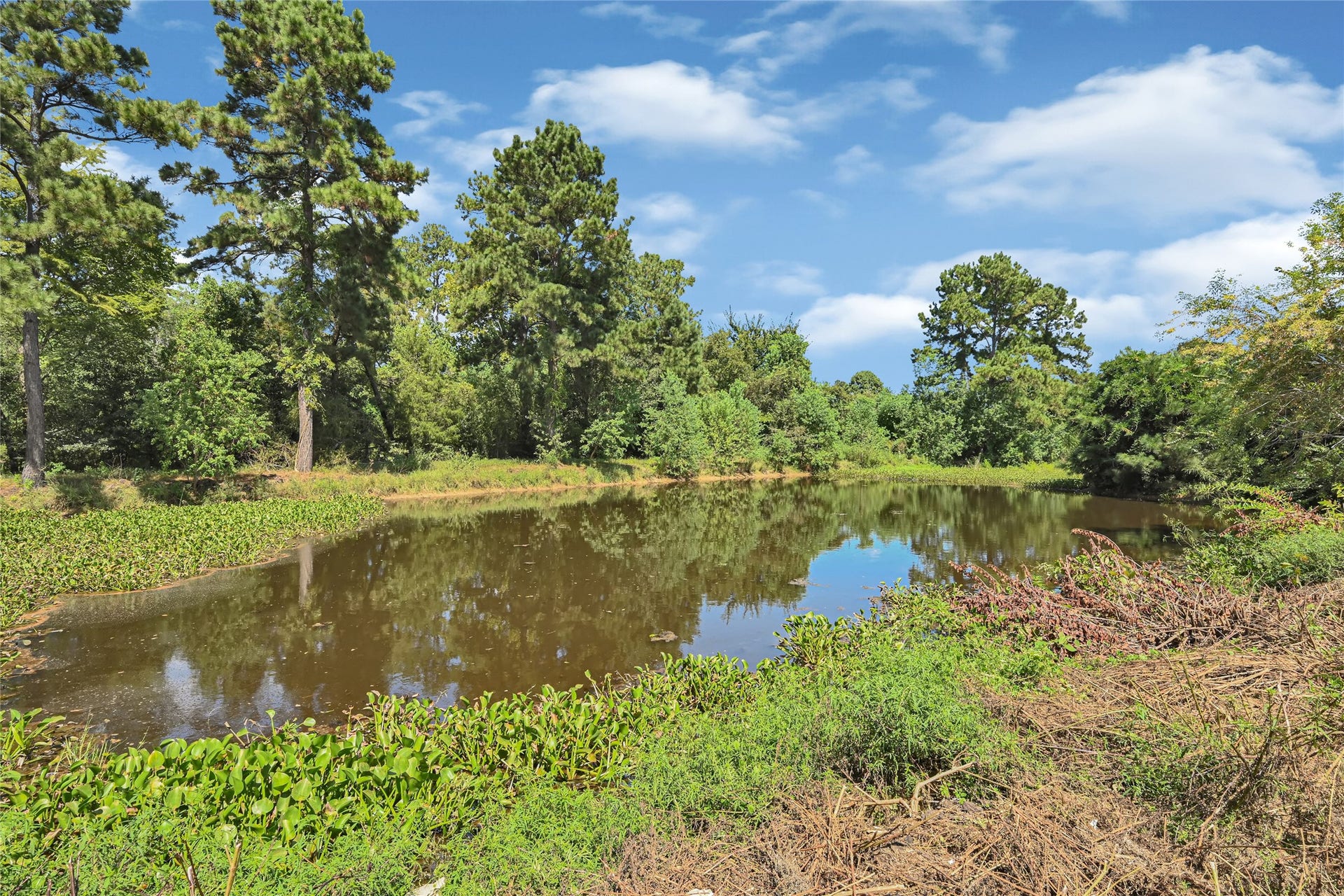 Private pond in the backyard