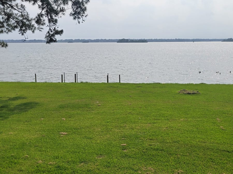 Property photo for TBD Sunny Glen Dr Drive, Houston, TX