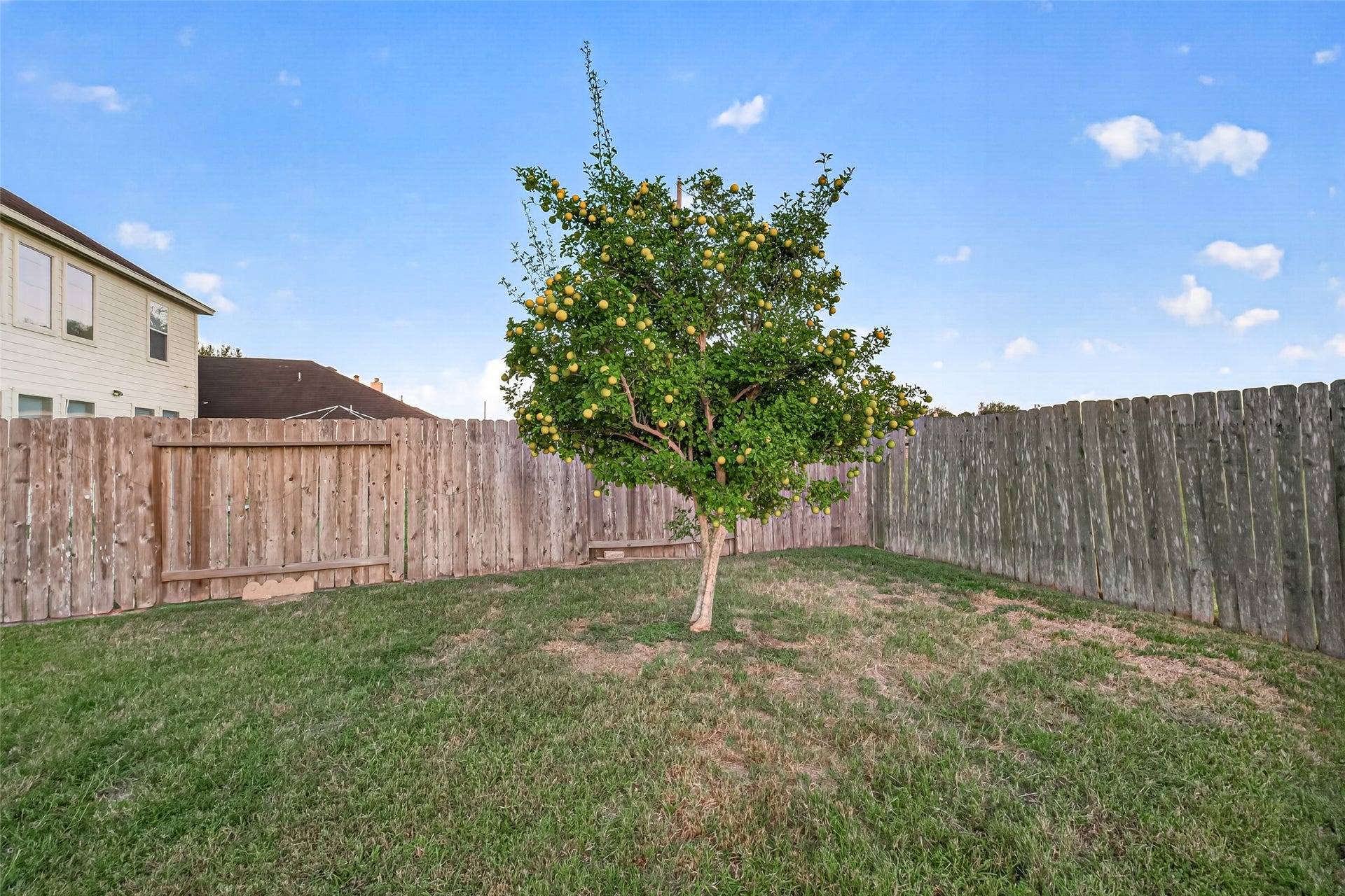 3411 Sparta Drive, Missouri City, TX 77459 3411 Sparta Drive, Missouri City, TX 77459