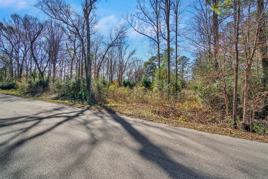 Property photo for 10884 Champion Village Drive, Conroe, TX