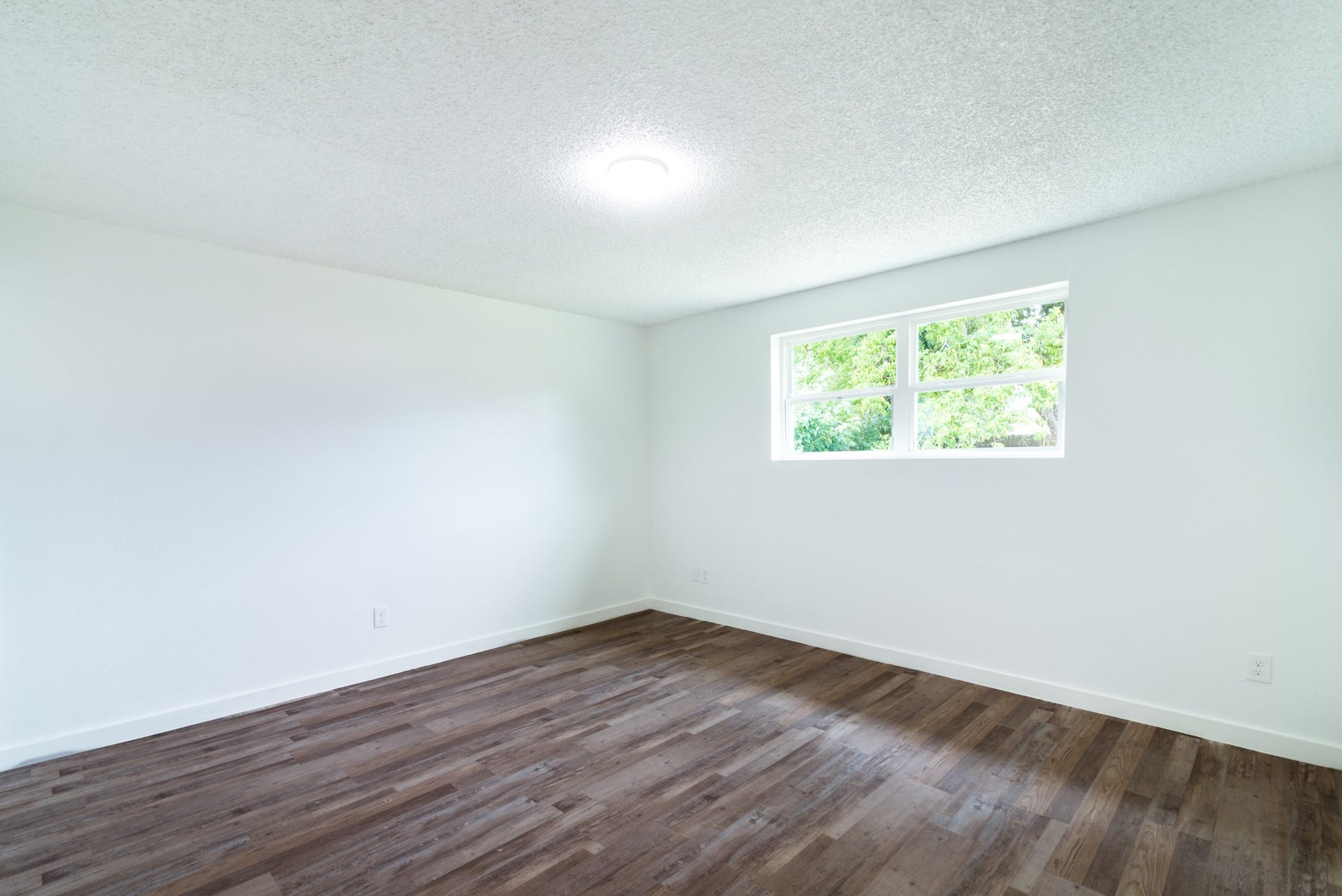 15910 Plagens Lane, Missouri City, TX 77489 Bright and airy room with sleek wood flooring, neutral walls, and a large window inviting natural light.