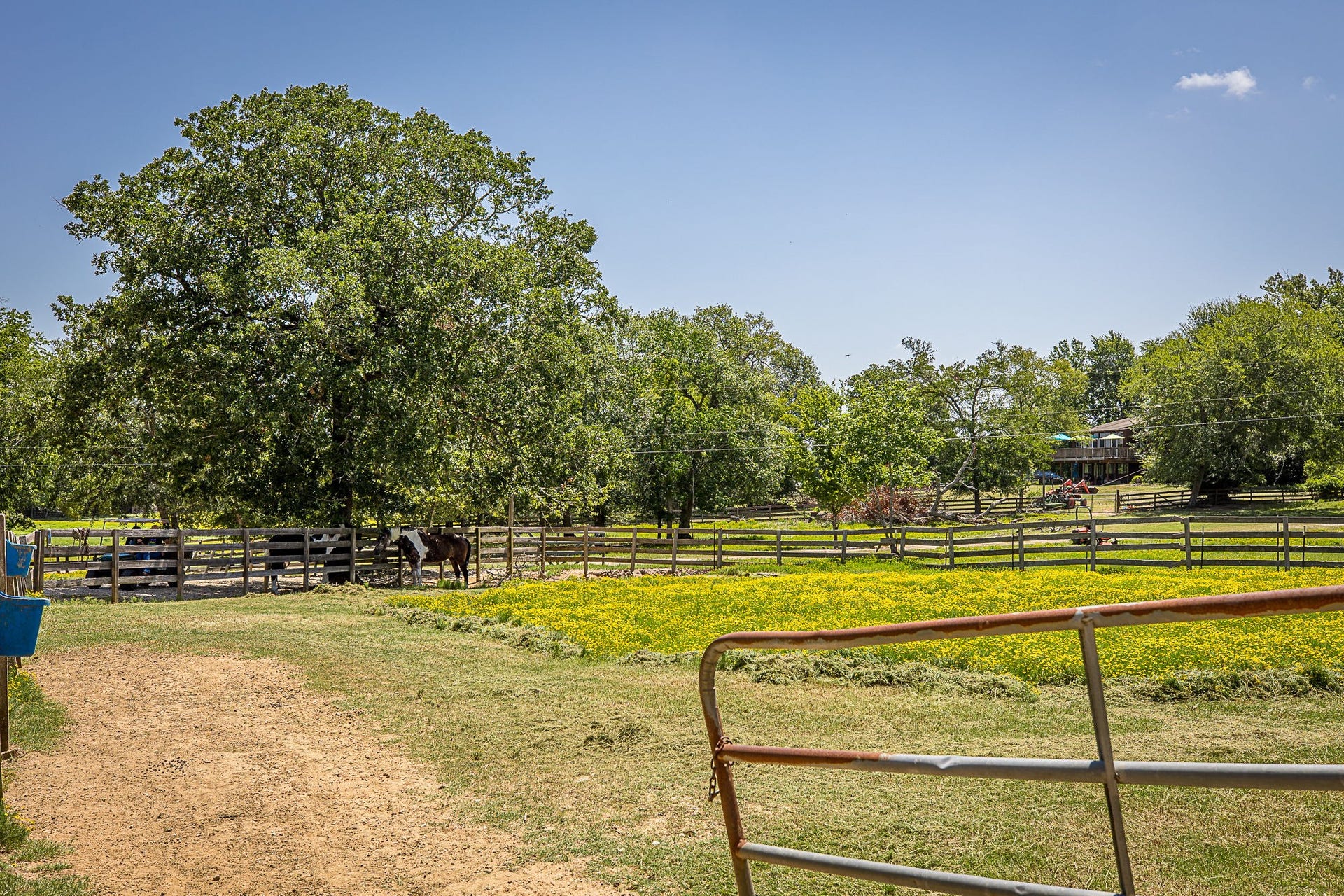 26298 Hwy 105, Montgomery, TX 77356 26298 Hwy 105, Montgomery, TX 77356
