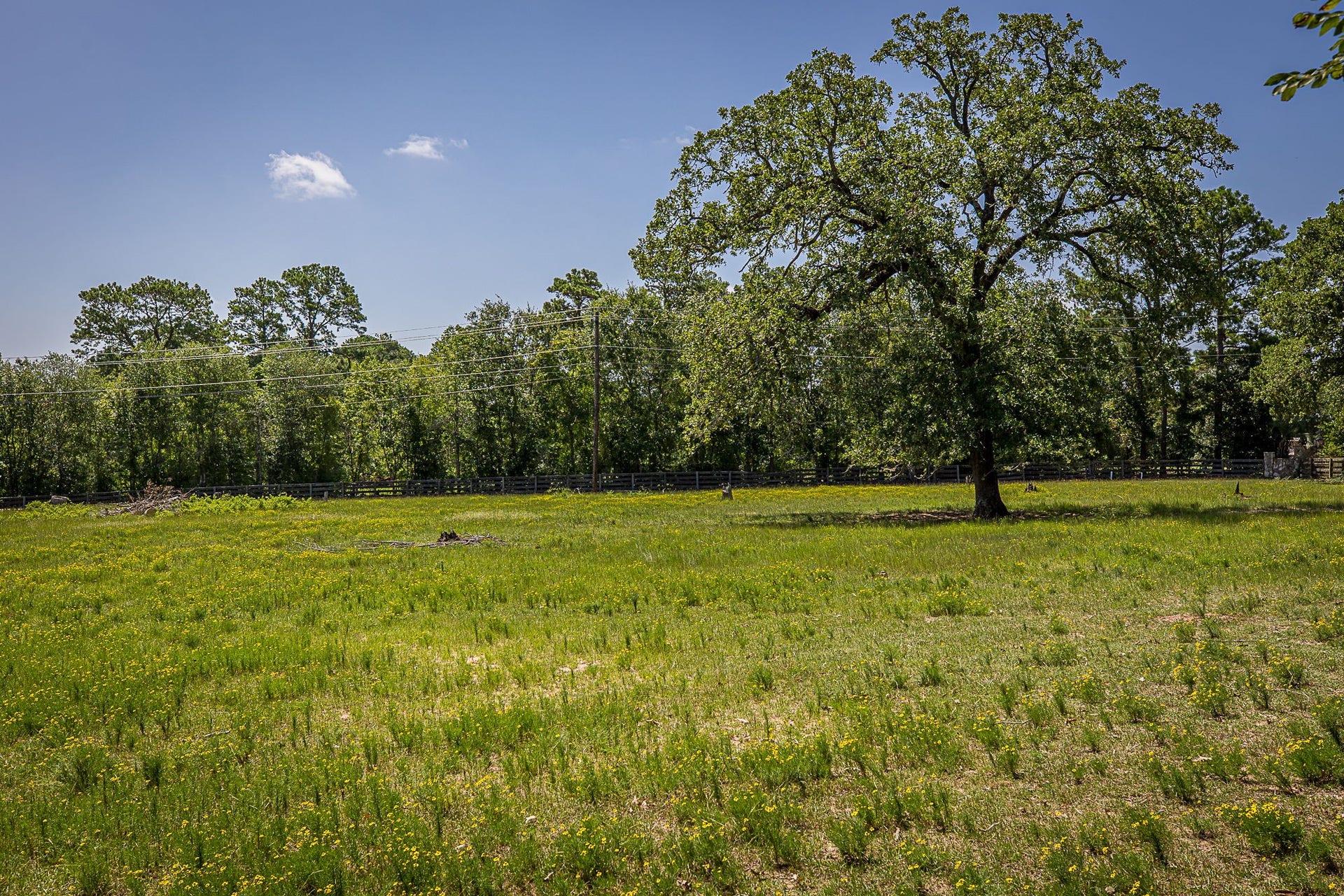 26298 Hwy 105, Montgomery, TX 77356 26298 Hwy 105, Montgomery, TX 77356