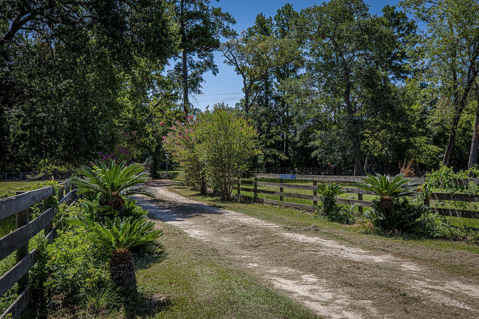 26298 Hwy 105, Montgomery, TX 77356 26298 Hwy 105, Montgomery, TX 77356
