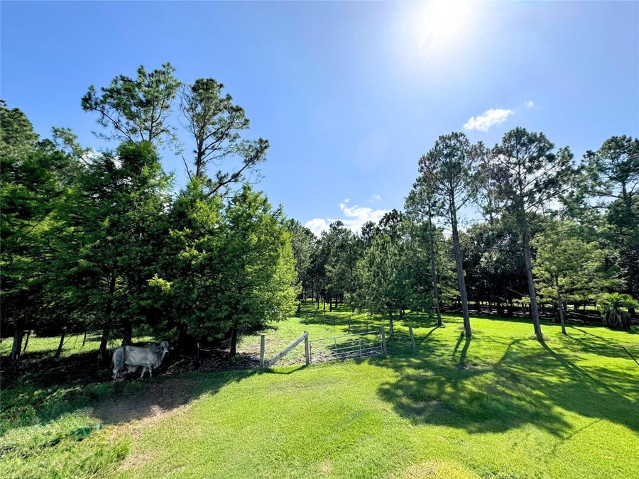 Property photo for 00000 County Road 540, Alvin, TX