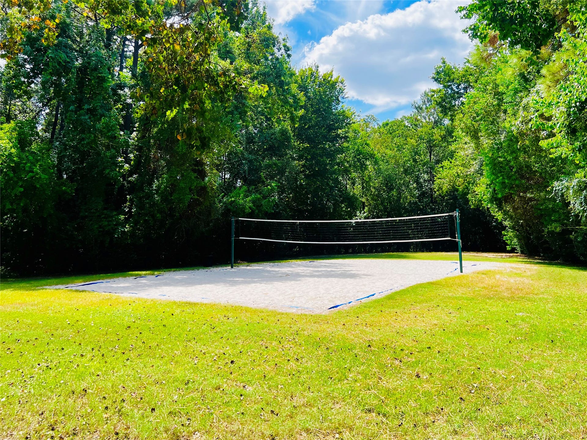 17805 Arapaho Hill Lane, Humble, TX 77346 Volleyball Court