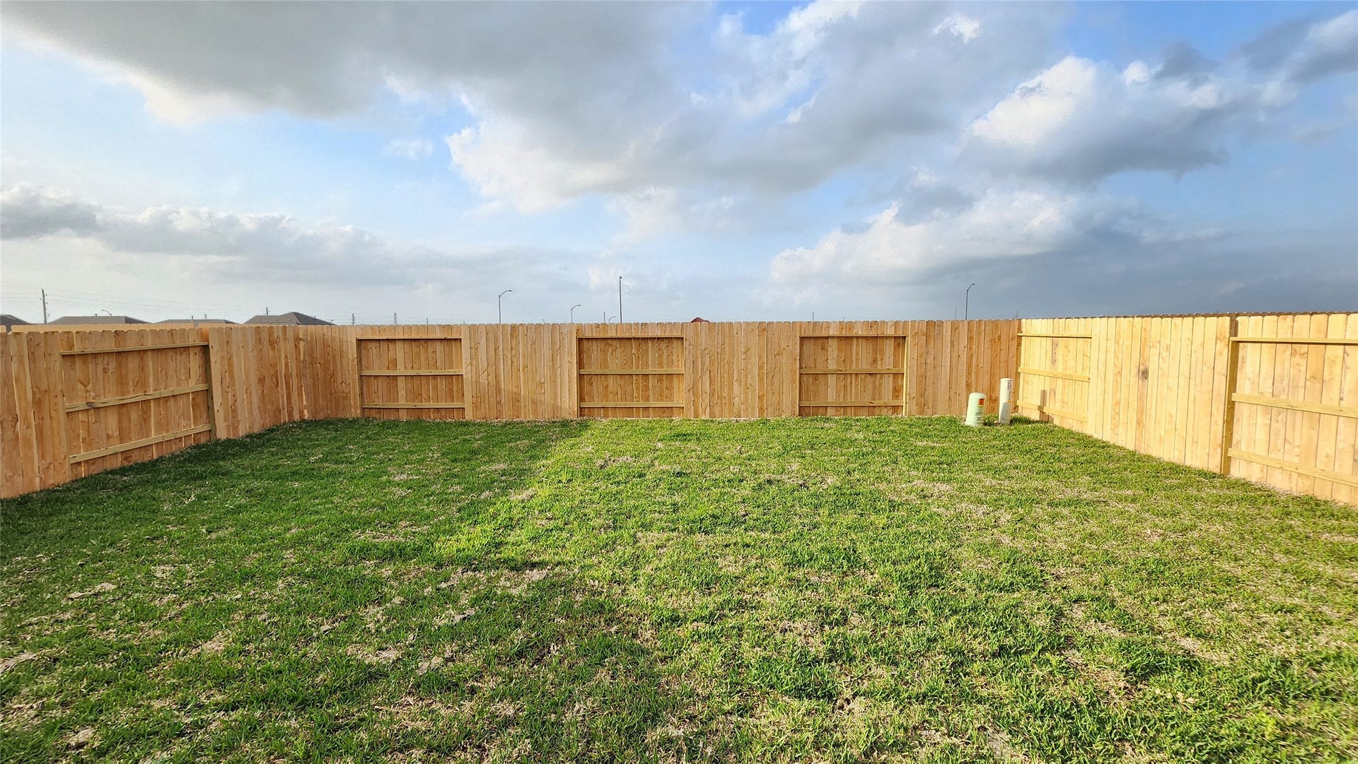 29038 Rustic Windmill Way, Hockley, TX 77447 Backyard