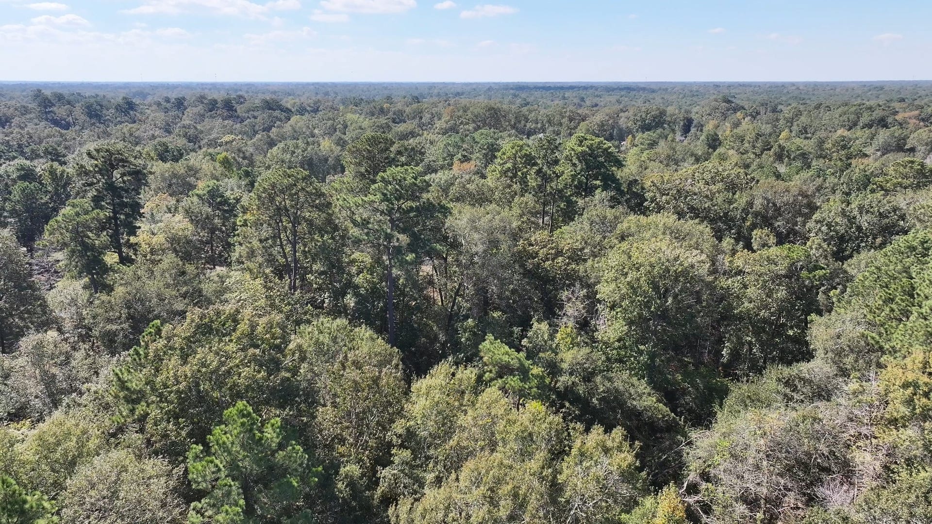 TBD White Oak Dr, Conroe, TX 77306 TBD White Oak Dr, Conroe, TX 77306