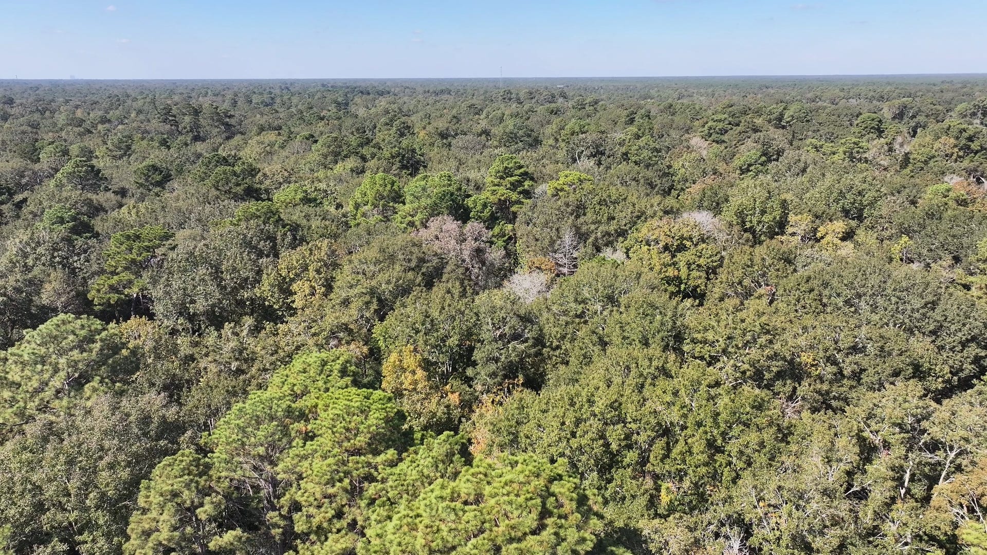 TBD White Oak Dr, Conroe, TX 77306 TBD White Oak Dr, Conroe, TX 77306