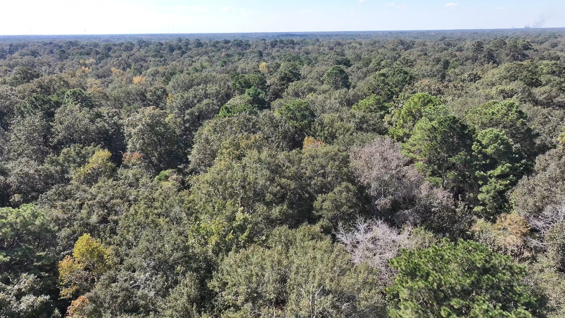 TBD White Oak Dr, Conroe, TX 77306 TBD White Oak Dr, Conroe, TX 77306
