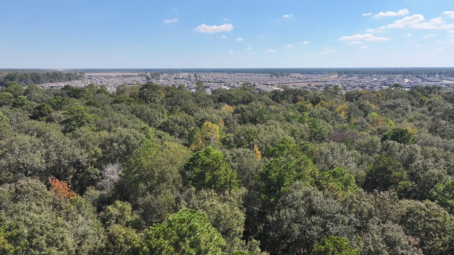TBD White Oak Dr, Conroe, TX 77306 TBD White Oak Dr, Conroe, TX 77306