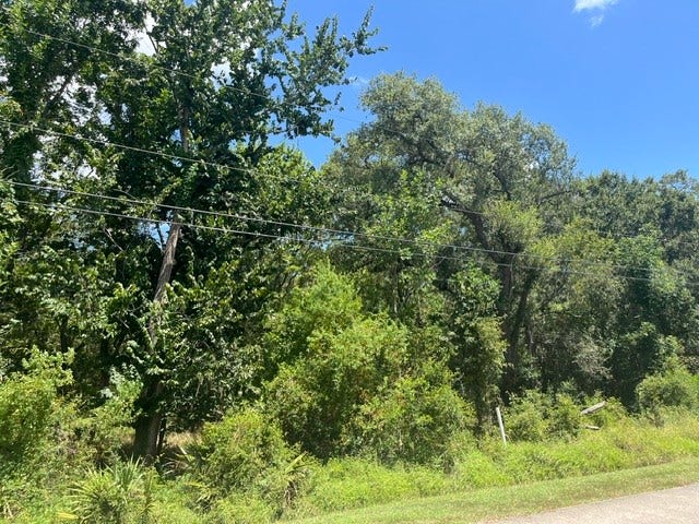 Property photo for 1131 Bronco Trail, Angleton, TX
