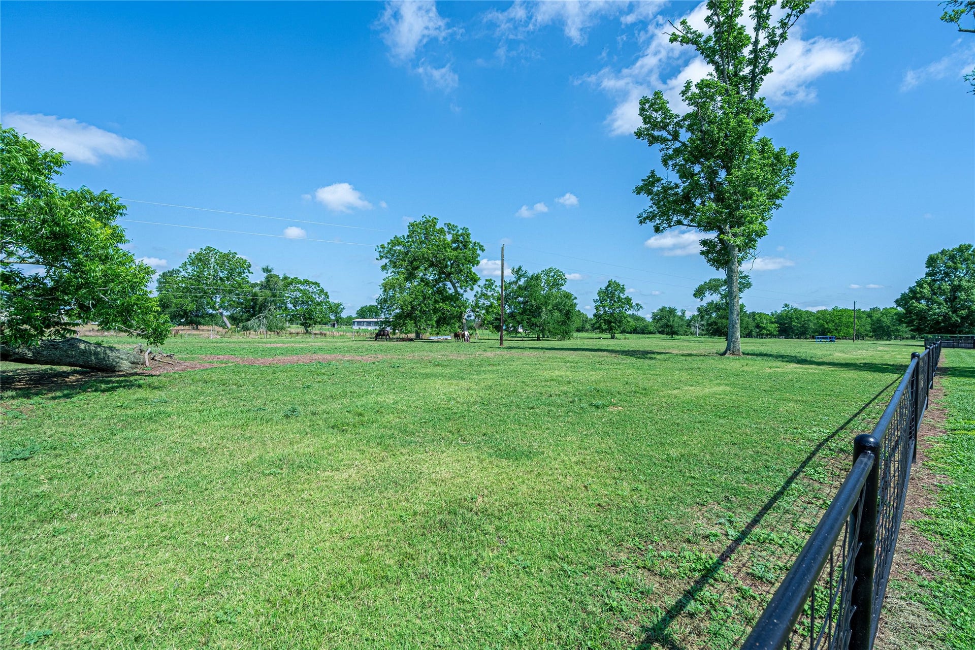 41800 Aggie Gee - Side Pasture for horses or cattle