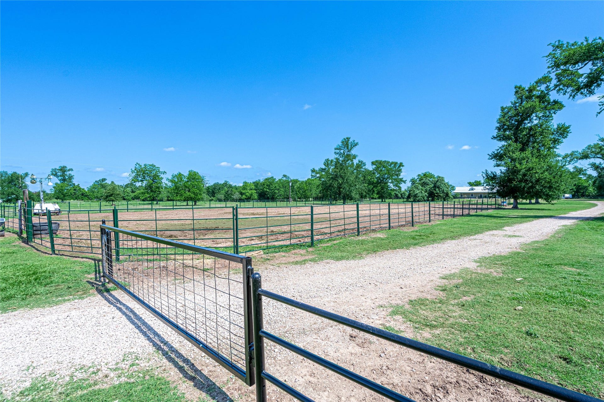 41802 Aggie Gee - Gate Entrance