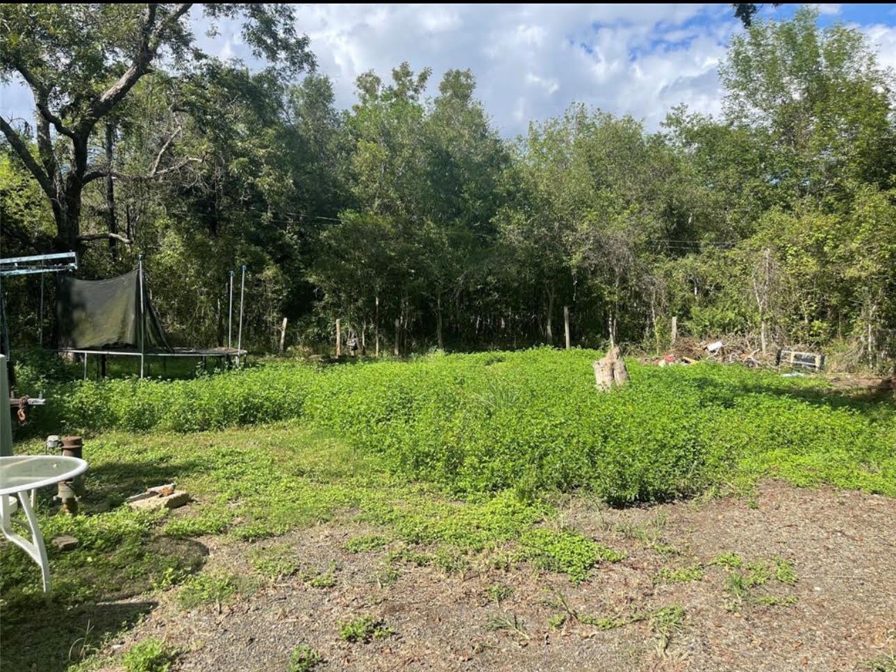 14127 FM 2759 Road, Richmond, TX 77469