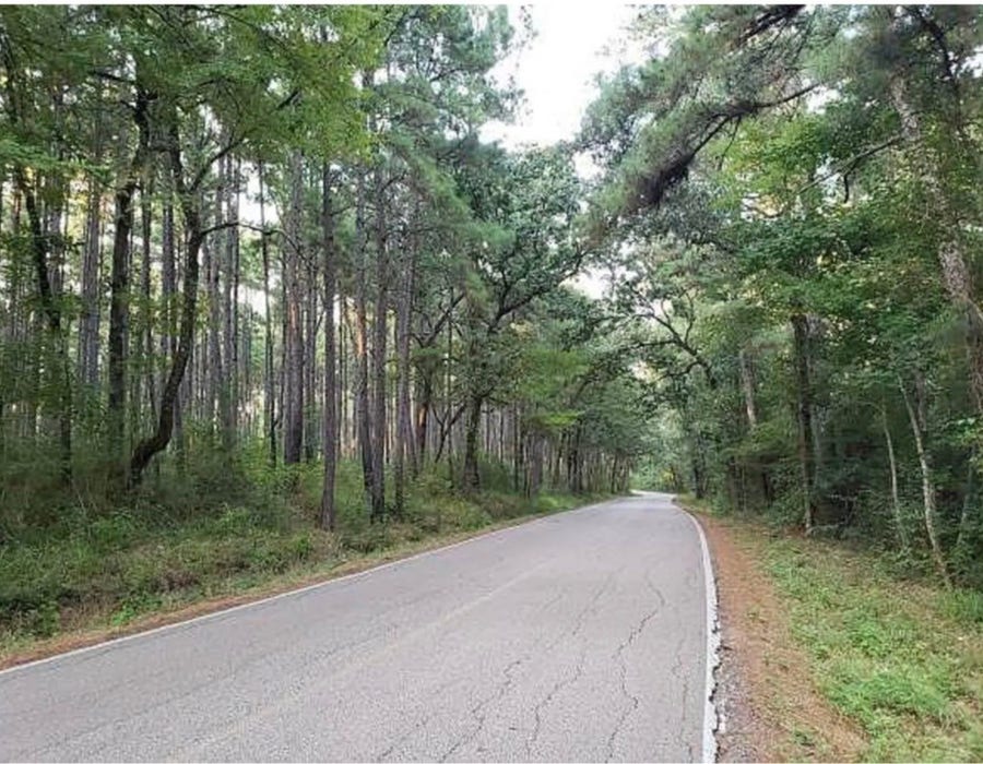 Property photo for 0 Sycamore Drive, Montgomery, TX