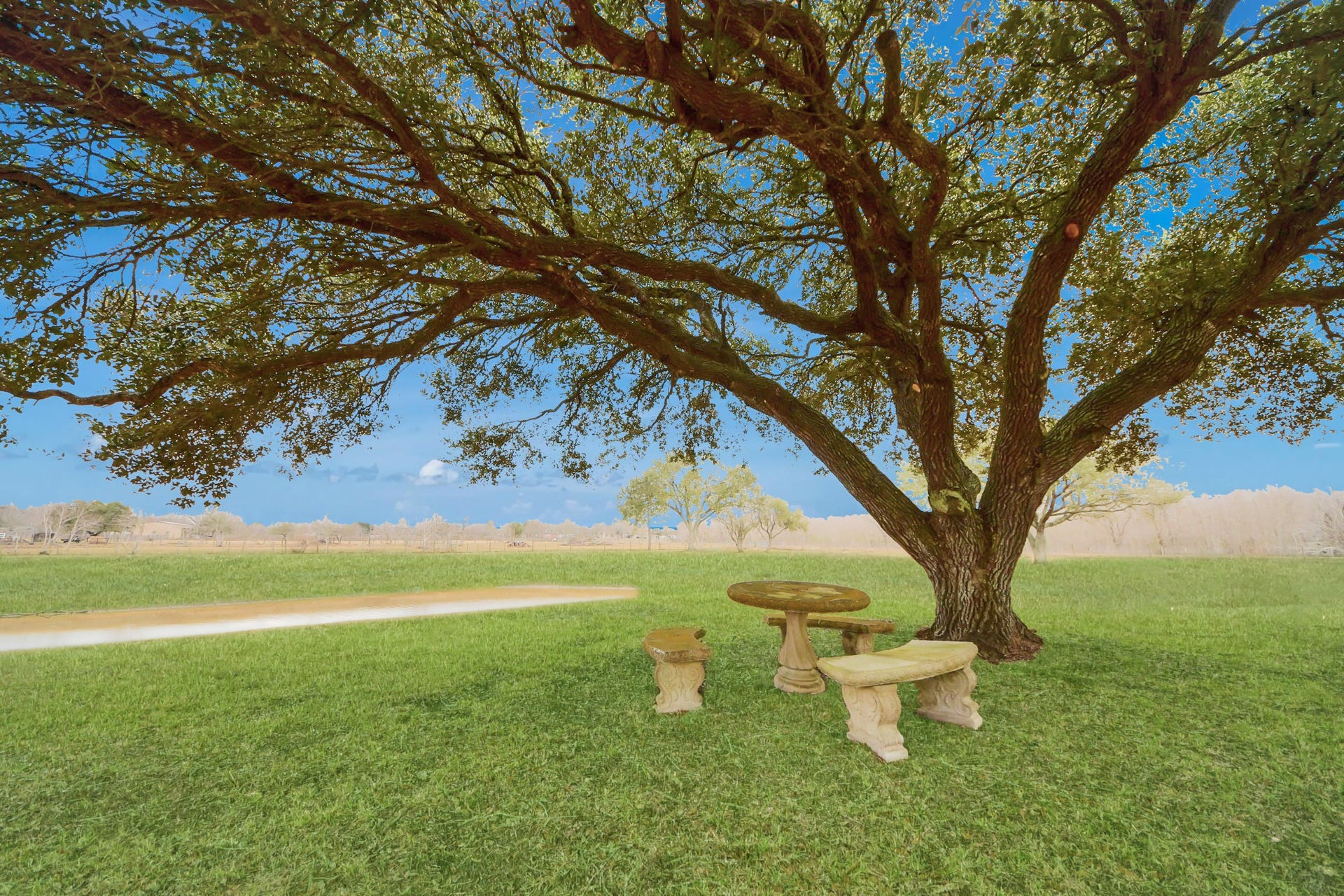 17115 County Road 831, Pearland, TX 77584 Enjoy a picnic or fishing from your pond.