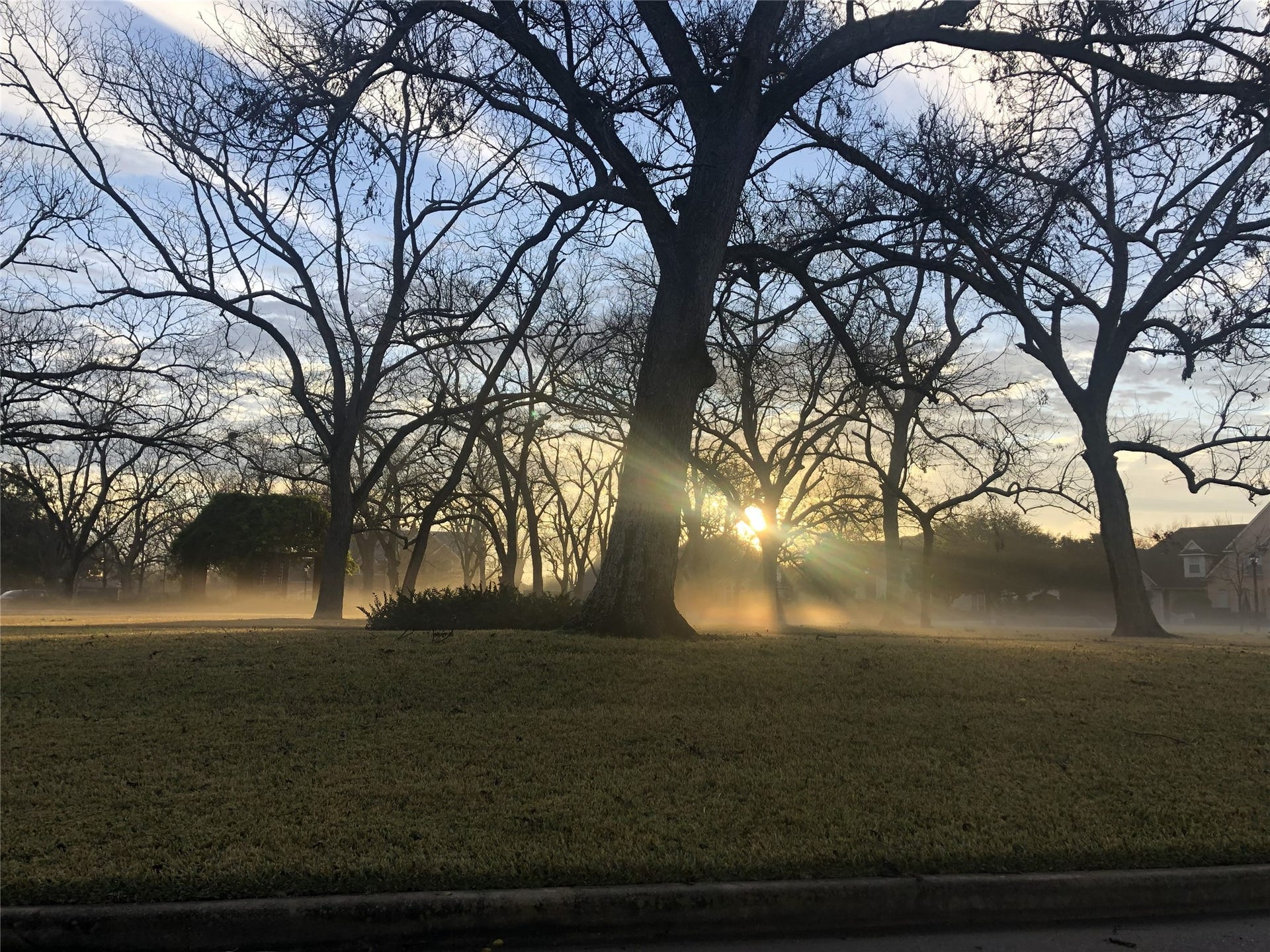1830 Forest Gate Circle, Sugar Land, TX 77479 A morning view of the park, nestled in the heart of The Estates community.