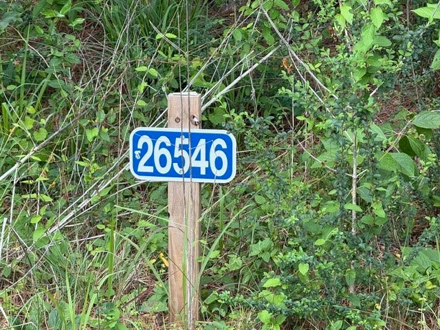 Property photo for 26546 Pin Oak Dr Drive, Hempstead, TX