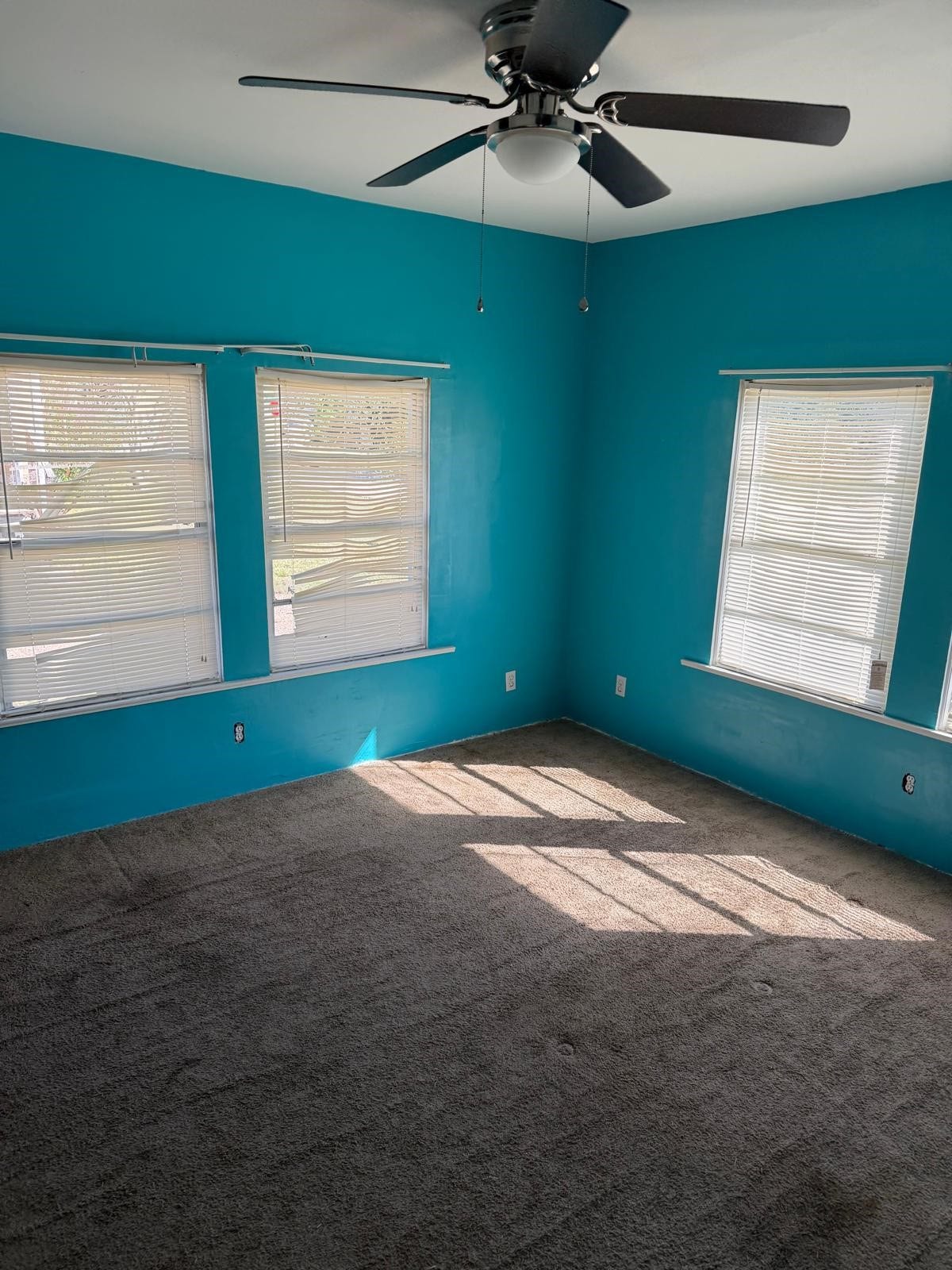 310 Pine Bluff Street, La Porte, TX 77571 310 Pine Bluff Street, La Porte, TX 77571