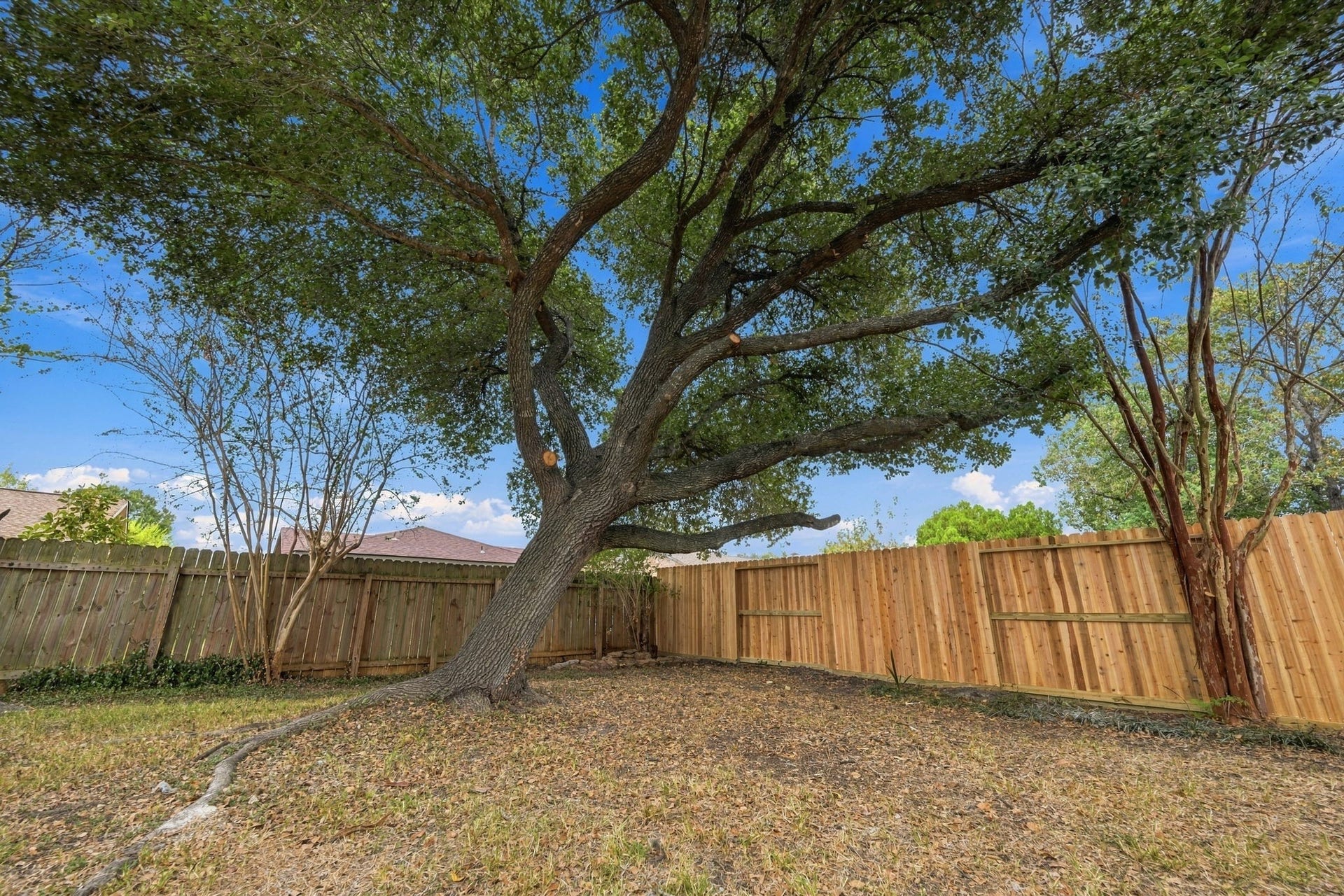 9859 Sageroyal Lane, Houston, TX 77089 9859 Sageroyal Lane, Houston, TX 77089