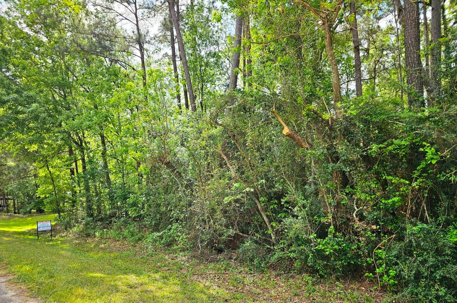 Property photo for TBD Bernard Court, Porter Heights, TX