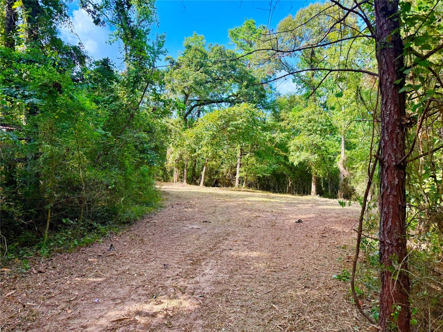 Property photo for 40718 Friartuck Drive, Montgomery, TX