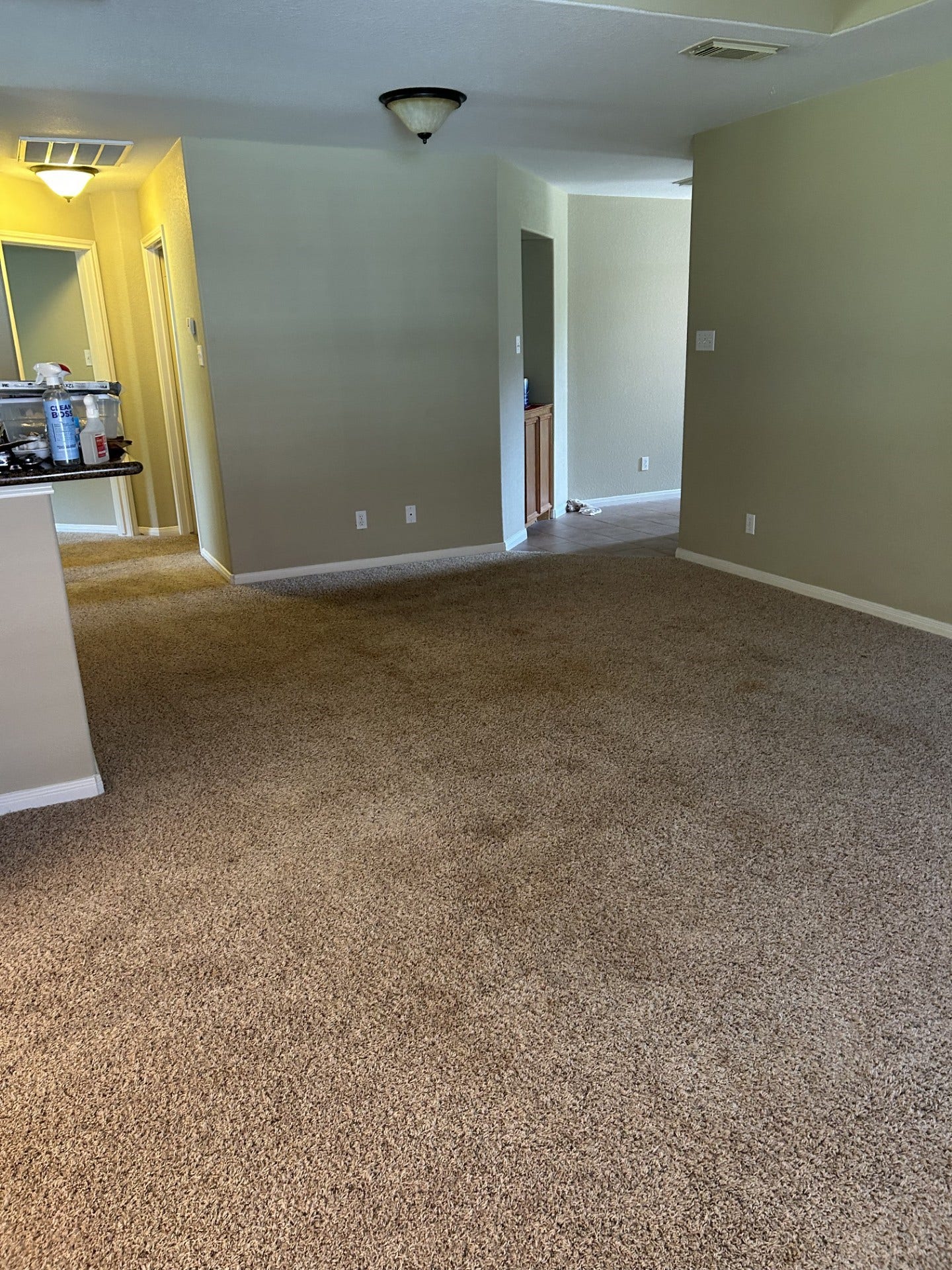 10620 Jay Road, Hitchcock, TX 77563 10620 Jay Road, Hitchcock, TX 77563