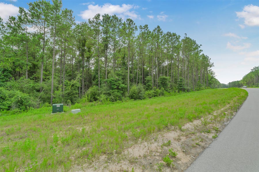 Property photo for 15832 Ridge Oak Road, Willis, TX